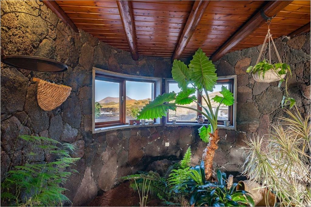 Villa Eloisa Tinajo Dış mekan fotoğraf